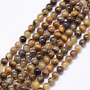 Natural Yellow Tiger Eye Bead Strands, Round, 4mm, Hole: 1mm, about 94pcs/strand, 15.74 inch(G-F425-46)