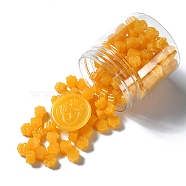Paw Print Sealing Wax Particles, for Retro Seal Stamp, Orange, 9.5x8.5x6mm(SCRA-PW0012-02A-07)