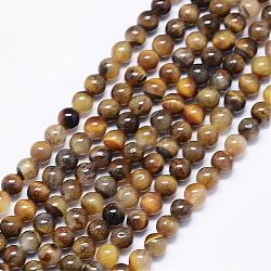 Natural Yellow Tiger Eye Bead Strands, Round, 4mm, Hole: 1mm, about 94pcs/strand, 15.74 inch(G-F425-46)