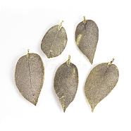 Electroplated Natural Leaf Big Pendants, with Iron Findings, Antique Bronze Plated, 70~100x30~50x1mm, Hole: 3x6mm(IFIN-Q119-01F)