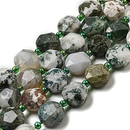 Natural Tree Agate Beads Strands, Faceted Pentagonal Cut, Flat Round, with Seed Beads, 10x10~10.5x5.5mm, Hole: 1mm, about 32pcs/strand, 15.55''(39.5cm)(G-NH0015-D04-01)