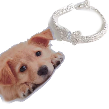 Adjustable 3-Row Brass Micro Pave Cubic Zirconia Cup Chain Pet Collars, Slider Bowknot Cat Dog Choker Necklace, Platinum, 295mm