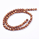 Shell Beads Strands(BSHE-P026-39)-3