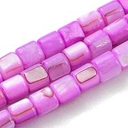 Natural Freshwater Shell Beads Strands, Dyed, Column, Magenta, 4~5.5x5mm, Hole: 0.6mm, about 74~75pcs/strand, 14.76~14.96 inch(37.5~38cm)(SHEL-F008-04B)