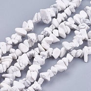 Natural Howlite Stone Bead Strands, Chip, White, 4~10x4~6x2~4mm, Hole: 1mm, about 210pcs/strand, 35.4 inch(G-R192-15)
