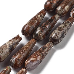 Natural Wealth Stone Jasper Beads Strands, Teardrop, 30~30.5x10~10.5mm, Hole: 1.4mm, about 6pcs/strand, 7.13~7.20 inch(18.1~18.3cm)(G-P528-H13-01)