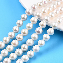 Natural Baroque Pearl Keshi Pearl Beads Strands, Cultured Freshwater Pearl, Round, Seashell Color, 7.5~8.5x8mm, Hole: 0.7mm, about 49pcs/strand, 15.63 inch~15.83 inch(39.7~40.2cm)(PEAR-Q015-037)