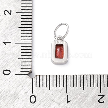 925 Sterling Silver Cubic Zirconia Charms(STER-NH0014-01P-01)-3