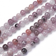 Natural Lepidolite/Purple Mica Beads Strands, Round, 4mm, Hole: 0.6mm, about 105pcs/strand, 15.9 inch(40.5cm)(G-G770-04A-4mm)