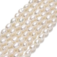 Natural Cultured Freshwater Pearl Beads Strands, Rice, Linen, 4~4.5x3~3.5mm, Hole: 0.5mm, about 81~82pcs/strand, 14.57''(37cm)(PEAR-J006-07C)