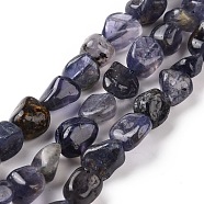 Natural Iolite Beads Strands, Nuggets, 9~13.5x8~9.5x4~8mm, Hole: 0.8mm, about 42~43pcs/strand, 15.35~15.94'')(39~40.5cm)(G-A208-09)