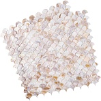 2Pcs Shell Cabochons Sheets, Fish Scale Mosaic Pieces, Mosaic Tiles for Arts DIY Crafts, PeachPuff, 315x310x2mm(AJEW-GO0002-11)