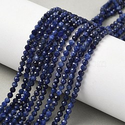 Natural Sodalite Beads Strands, Round, Faceted, 3mm, Hole: 0.6mm, about 122pcs/strand, 15.24 inch(38.7cm)(X-G-L622-C04-3mm)