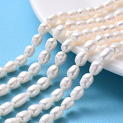 Natural Cultured Freshwater Pearl Beads Strands, Rice, Seashell Color, 6.5~7.5x6.5~15, hole: 0.8mm, about 19~22pcs/strand, 6.89 inch~7.09 inch(17.5cm~18cm)(PEAR-N012-06D)