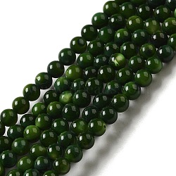 Natural Freshwater Shell Beads Strands, Round, Dyed, Dark Green, 3mm, Hole: 0.5mm, about 124~132pcs/strand, 14.96''(38cm)(SHEL-H003-03A)