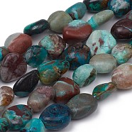 Natural Chrysocolla Beads Strands, Nuggets, Tumbled Stone, 8~10x8~9x5.5~6mm, Hole: 0.5mm, about 43pcs/strand, 15.55 inch(39.5cm)(X-G-L493-61)