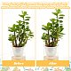 Copper Plant Growth Support(DIY-NB00006)-4