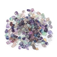 Natural Fluorite Beads, No Hole/Undrilled, Nuggets, Tumbled Stone, Vase Filler Gems, 6~16x6~10x3~8mm, about 1000pcs/1000g(G-F710-11)