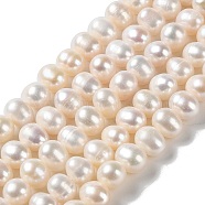 Natural Cultured Freshwater Pearl Beads Strands, Potato, Grade 3A++, PapayaWhip, 8~9x7~8mm, Hole: 0.7mm, about 49pcs/strand, 14.21''(36.1cm)(PEAR-E018-05)