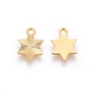 Rack Plating Brass Charms, for Jewish, Star of David, Textured, Golden, 12x8.8x1mm, Hole: 1.5mm(KK-E645-14G)