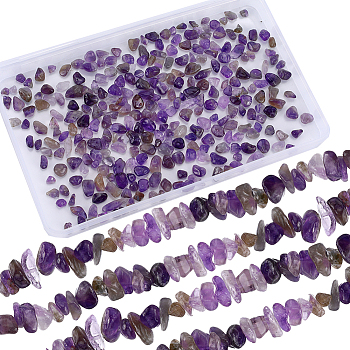 4 Strands Natural Amethyst Chip Beads Strands, Dyed, 5~8x5~8mm, Hole: 1mm, about 31.5 inch