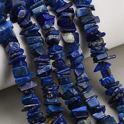 Natural Lapis Lazuli Beads Strands, Chip, 8~18.5x6.5~10x1.5~7mm, Hole: 0.7~1mm, about 96~130pcs/strand, 15.94''(40.5cm)(GG-CBAC61B-C04-01)