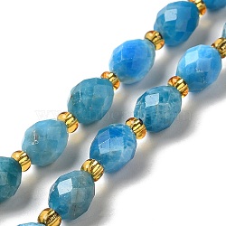 Natural Apatite Beads Strands, with Seed Beads, Faceted, Oval, 7.5~8x6~6.5mm, Hole: 1.2mm, about 40~42pcs/strand, 15.35~15.55''(39~39.5cm)(G-H297-C03-01)