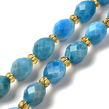 Natural Apatite Beads Strands, with Seed Beads, Faceted, Oval, 7.5~8x6~6.5mm, Hole: 1.2mm, about 40~42pcs/strand, 15.35~15.55''(39~39.5cm)