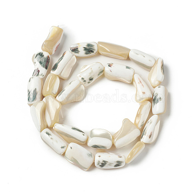 Natural Trochid Shell/Trochus Shell Beads Strands(SHEL-F004-12)-2