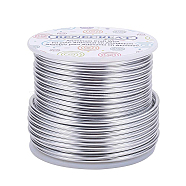Round Aluminum Wire, Silver, 10 Gauge, 2.5mm, about 80.38 Feet(24.5m)/roll(AW-BC0001-2.5mm-02)