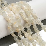 Natural White Moonstone Beads Strands, Chip, 5~8mm, Hole: 1mm, about 80~81cm(G-P332-01)