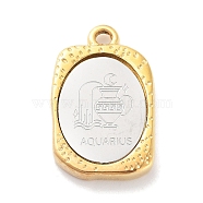 304 Stainless Steel Pendants, Rectangle with Twelve Constellations Charm, Golden & Stainless Steel Color, Aquarius, 23x14.5x3mm, Hole: 2mm(STAS-F303-A11)