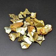 Dyed Natural Mother of Pearl Shell Nuggets Chips Beads, Gold, 5~18x5~11mm, Hole: 2mm, about 1980pcs/500g(BSHE-O007-10C)
