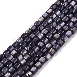 Natural Freshwater Shell Beads Strands, Dyed, Column, Dark Slate Blue, 3.5x3.5mm, Hole: 0.8mm, about 110~113pcs/strand, 14.69 inch~15.08 inch(37.3~38.3cm)(X-SHEL-N003-33-A01)