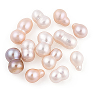 Natural Cultured Freshwater Pearl, No Hole/Undrilled, Seashell Color, 11.5~17.5x7.5~9.5mm(PEAR-N020-o03)