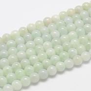 Natural Myanmar Jade/Burmese Jade Beads Strands, Round, 6mm, Hole: 0.8mm, about 61pcs/strand(G-F306-13-6mm)