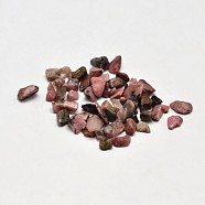 Natural Rhodonite Chip Beads, No Hole/Undrilled, 2~8x2~4mm, about 340pcs/20g(X-G-O103-05)