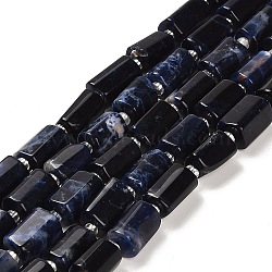 Natural Sodalite Beads Strands, with Seed Beads, Faceted Column, 9~11x6~7.5x6~7.5mm, Hole: 1.2mm, about 30pcs/strand, 15.16~15.55 inch(38.5~39.5cm)(G-G068-A04-01)