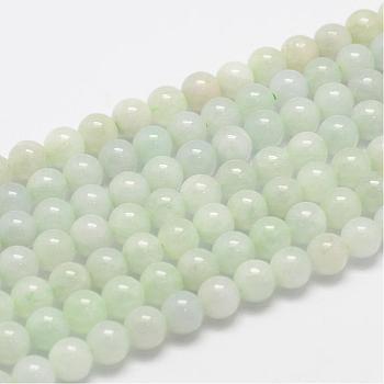 Natural Myanmar Jade/Burmese Jade Beads Strands, Round, 6mm, Hole: 0.8mm, about 61pcs/strand