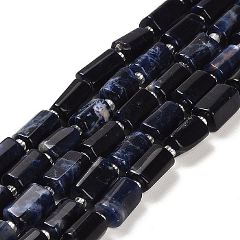 Natural Sodalite Beads Strands, with Seed Beads, Faceted Column, 9~11x6~7.5x6~7.5mm, Hole: 1.2mm, about 30pcs/strand, 15.16~15.55 inch(38.5~39.5cm)