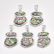 Abalone Shell/Paua Shell Big Pendants, with Alloy Findings and Resin Bottom, Colorful, 56x44x5.5mm, Hole: 15.5x7mm(SHEL-S275-49A)
