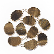 Natural Tiger Eye Pendants, with Golden Tone Brass Open Back Bezel, Oval, 25x15.5x2~3mm, Hole: 2mm(G-S359-019C)