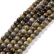 Natural Dendritic Jasper Beads Strands, Chohua Jasper, Round, Mixed Color, 8mm, Hole: 1mm, about 49pcs/strand, 15.4 inch(G-H1632-8MM)