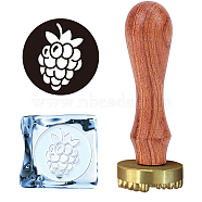CRASPIRE 3Pcs 3 Style Wax Seal Stamps Set, with Rectangle Velvet Pouches, Pear Wood Handle and Brass Stamp Head, Grape Pattern, 3pcs/set(DIY-CP0005-74C)