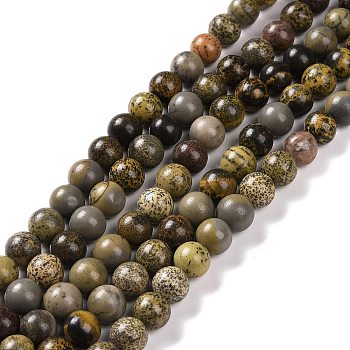 Natural Dendritic Jasper Beads Strands, Chohua Jasper, Round, Mixed Color, 8mm, Hole: 1mm, about 49pcs/strand, 15.4 inch