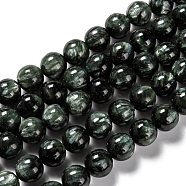 Natural Seraphinite Beads Strands, Round, Grade A, 9.5~10mm, Hole: 1mm, about 38pcs/strand, 15.43 inch(39.2cm)(G-E557-22C)