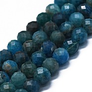 Natural Apatite Beads Strands, Faceted(64 Facets), Round, 7mm, Hole: 0.8mm, about 58~59pcs/strand, 15.35 inch(39cm)(G-G927-32)
