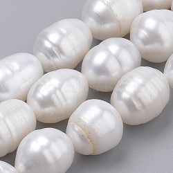 Natural Cultured Freshwater Pearl Beads Strands, Rice, Seashell Color, 10~14x9~10mm, Hole: 0.5mm, about 14pcs/strand, 6.69 inch(17cm)(X-PEAR-S012-43)