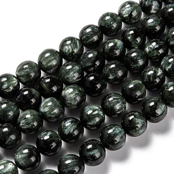 Natural Seraphinite Beads Strands, Round, Grade A, 9.5~10mm, Hole: 1mm, about 38pcs/strand, 15.43 inch(39.2cm)