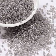 Cylinder Seed Beads, Frosted AB Colors, Round Hole, Uniform Size, Gray, 2x1.5mm, Hole: 0.8mm, about 40000pcs/bag, about 450g/bag(SEED-H001-F03)